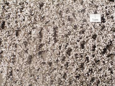 SILFLOR SPRING CHERRY BLOSSOM 'LEAF'